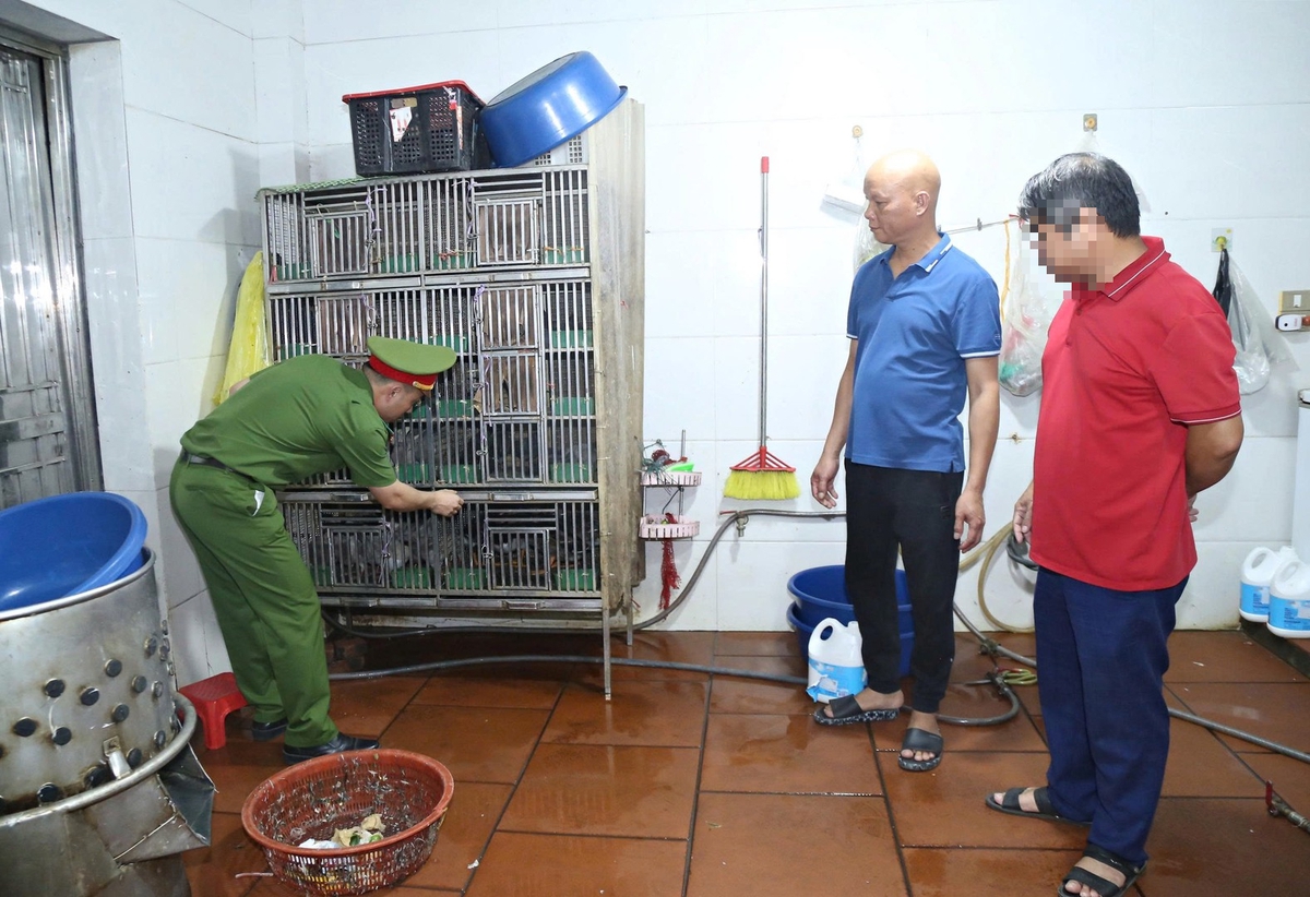 Khám xét nơi ở, khởi tố chủ nhà hàng Nguyễn Danh Việt SN 1976