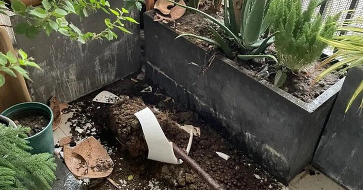 Sau 1 năm dùng ban công mở, tôi hiểu vì sao nhiều người muốn đóng lại