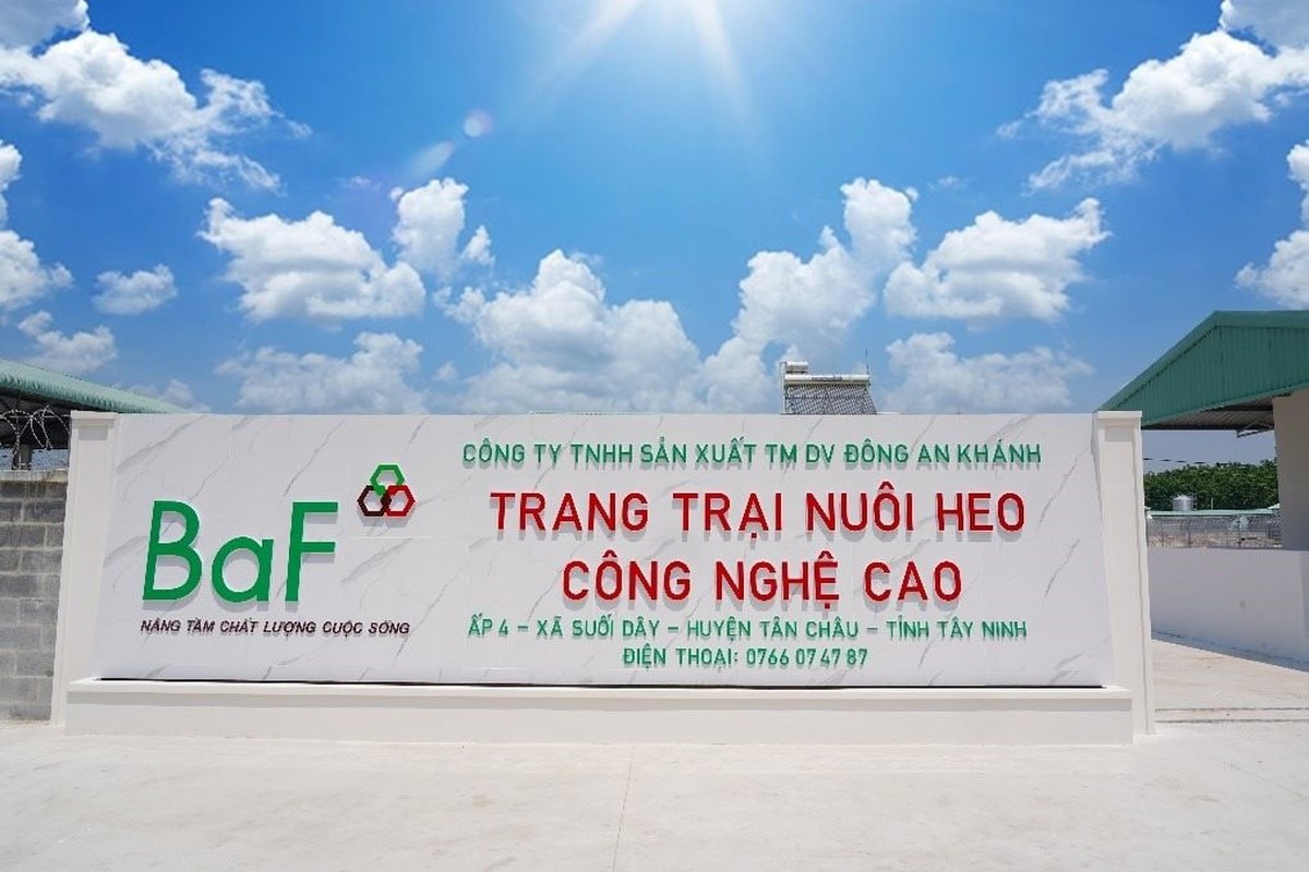 Cầm cố loạt công ty con, BAF vay 1.270 tỷ đồng từ "đại gia" Hà Lan