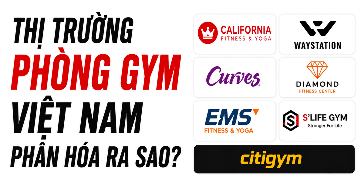 Chuỗi "rèn múi luyện cơ" giá rẻ 300.000 đồng/tháng lăm le soán ngôi vua phòng gym của California Fitness, riêng Fitness Elite mất hút khỏi top đầu