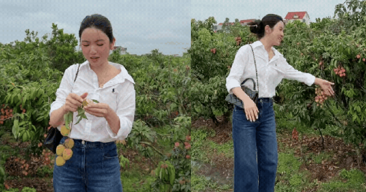 Chu Thanh Huyền gặp sự cố giữa vườn vải