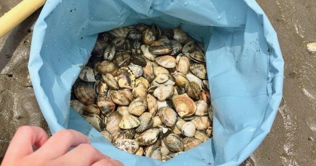 Loại hải sản ăn vào bổ não, tốt tim mạch, tăng miễn dịch: Chứa đạm ngang 3 quả trứng