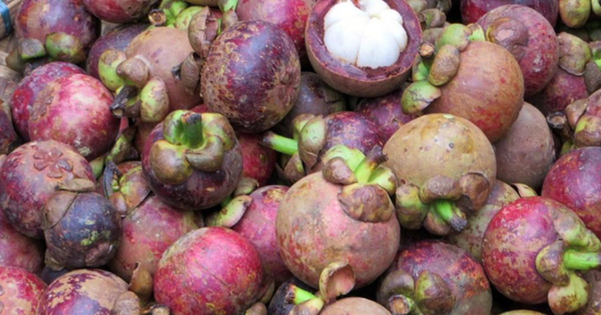 Thái Lan xuất 150.000 tấn trái cây sang châu Á, Việt Nam là điểm đến