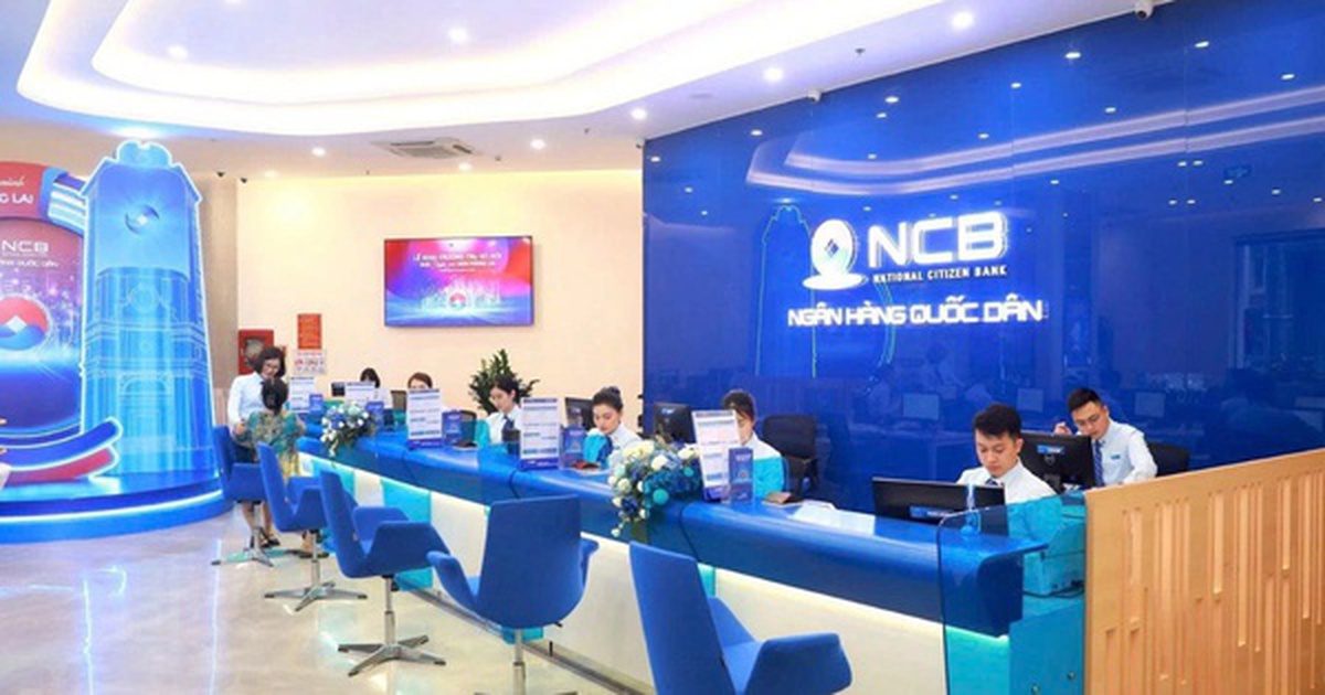 22 nhà đầu tư tham gia đợt chào bán 1 tỷ cổ phiếu riêng lẻ của NCB