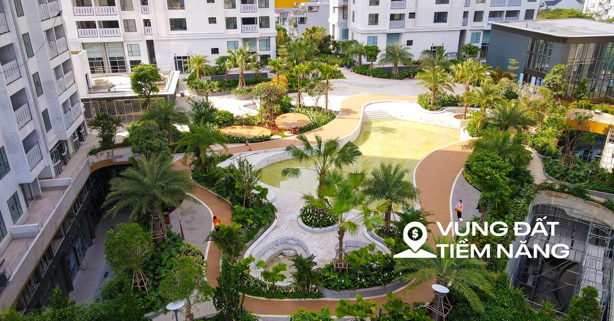 Thị trường căn hộ TP.HCM: Khu Đông giữ ngôi vương, tân binh giá rẻ ồ ạt chiếm sóng