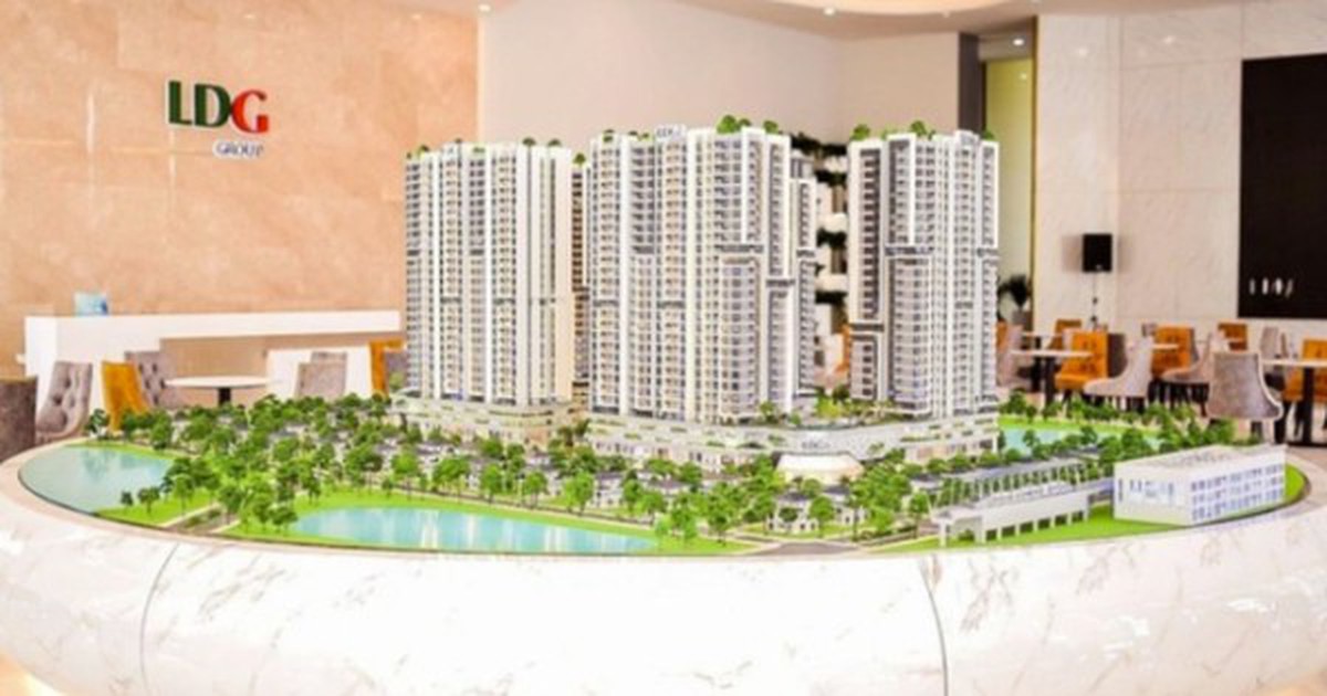 Một Thành viên HĐQT LDG xin từ nhiệm