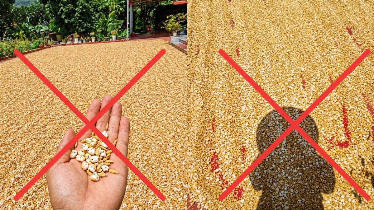 Cần xử nghiêm người đăng ảnh AI gây hoảng sợ trong nắng nóng cực độ ở miền Bắc