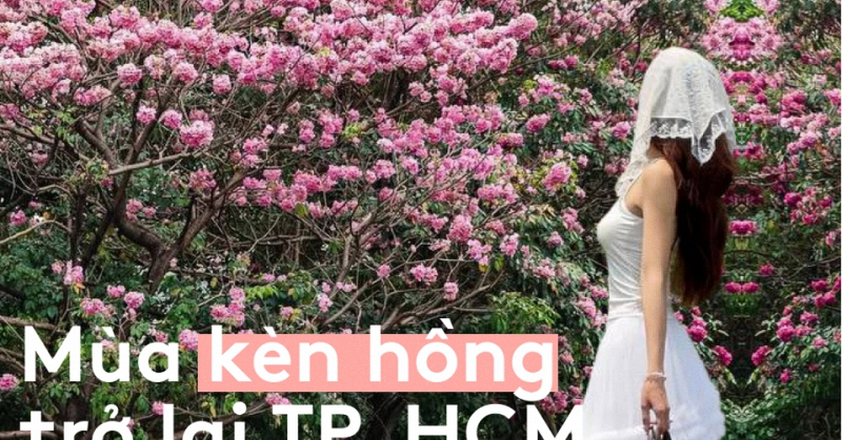 Sống ở TP.HCM hơn 10 năm mới thấy mùa kèn hồng "ngang ngược" thế này, bảo sao ai cũng rần rần xách máy lên phố!