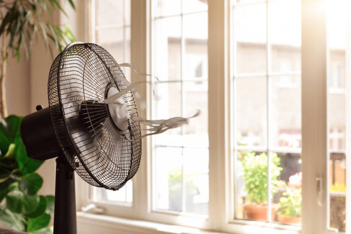 Loại quạt nào tốn điện nhất? Lời khuyên để dùng quạt điện mát không kém điều hòa mà vẫn tiết kiệm, tốt cho sức khỏe