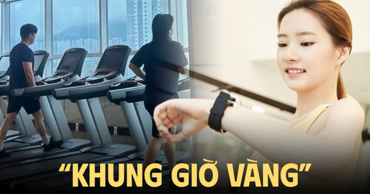 “Nghèo thời gian”, dân văn phòng biến 1 tiếng nghỉ trưa thành khung giờ vàng: Đi tập gym, đi học thêm thay vì ngủ gục trên bàn