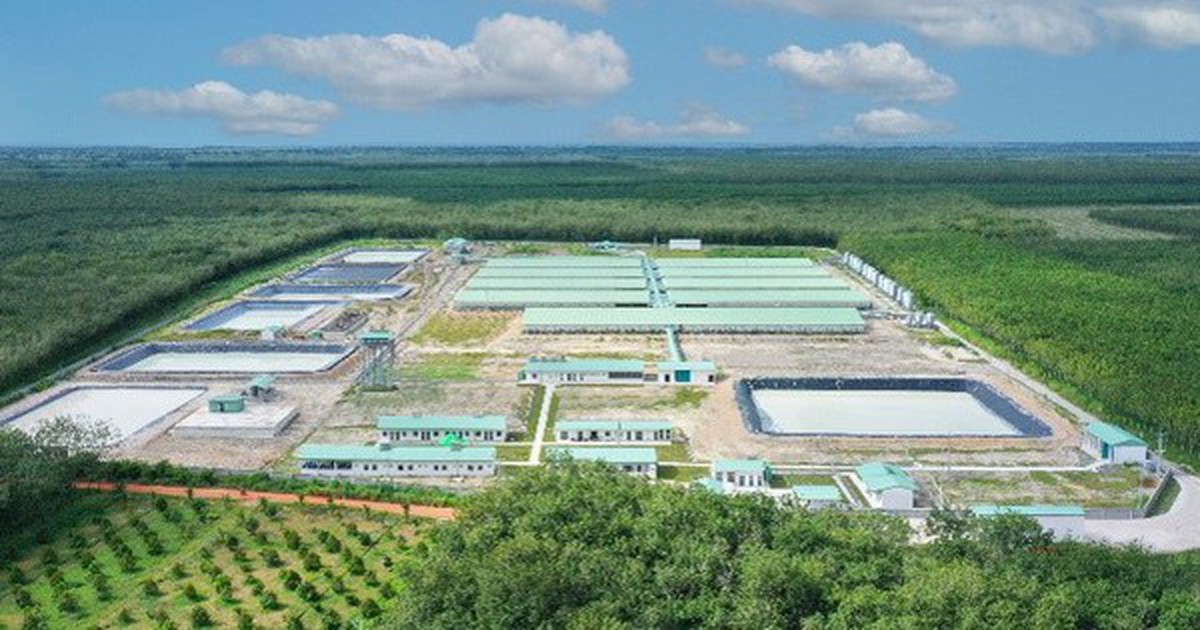 Baf Việt Nam chuẩn bị phát hành hơn 60 triệu cổ phiếu cho cổ đông
