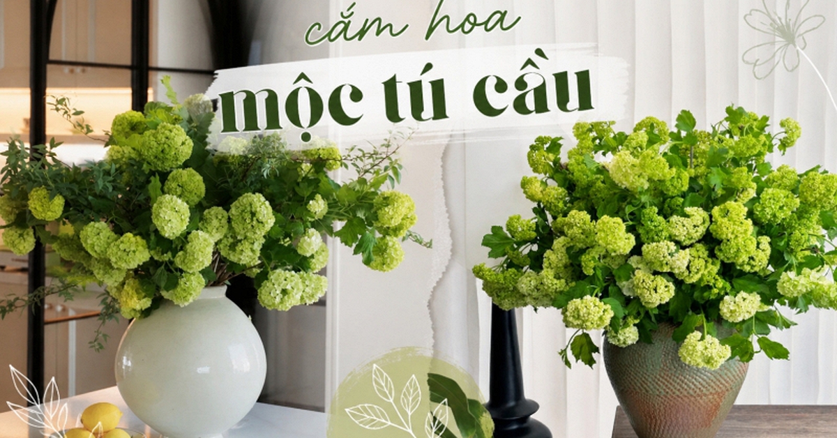 Loài hoa được vua Càn Long ví như "ngọc bàn đọng tuyết" đang trở thành xu hướng cắm hoa hot nhất mùa này: Khó chăm nhưng đáng từng đồng