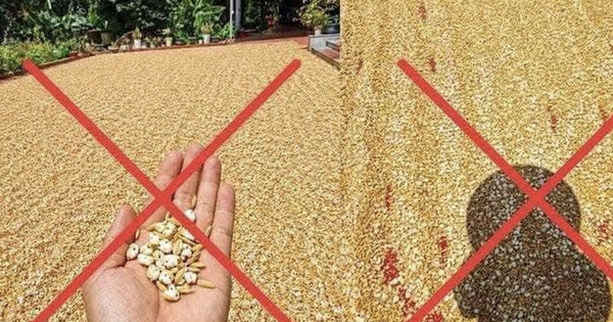 Đăng tin thóc phơi ngoài trời "nổ thành bỏng", người đàn ông bị xử lý