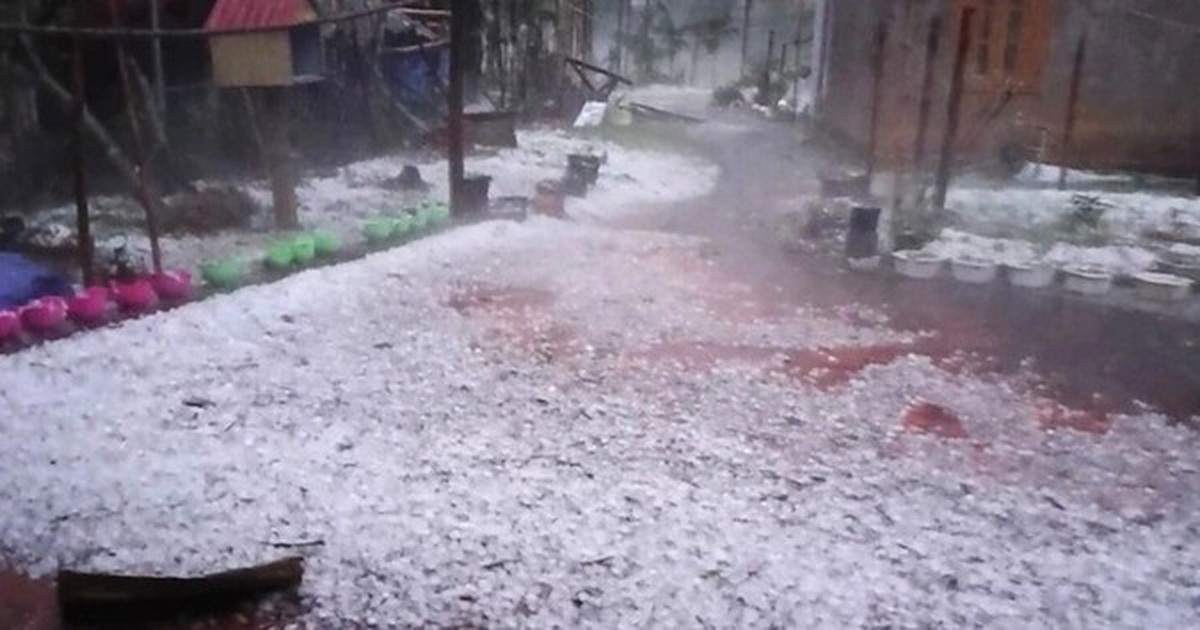 Không khí lạnh cuối mùa tràn về, miền Bắc có nơi nhiệt độ xuống dưới 19 độ C