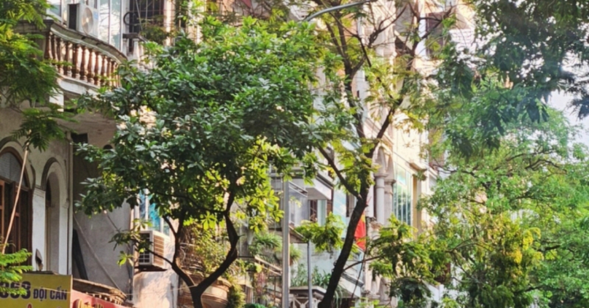 Tin vui cho thứ 2 mệt mỏi nhất: Chỉ cần vượt qua 117 ngày nữa thôi là có 5 ngày nghỉ liên tiếp!