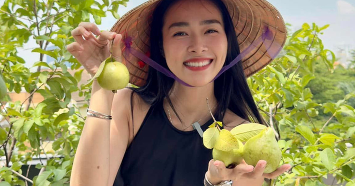 Mỹ nhân Việt làm chủ 3 công ty, sống trong nhà phố 100m2, sân thượng trồng gì mà lúc nào cũng trĩu quả?