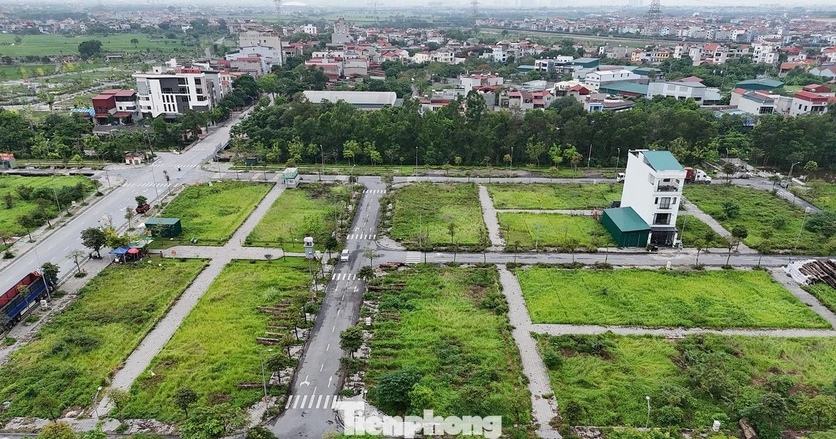Đất tái định cư di dời dự án cầu Tứ Liên, Trần ...