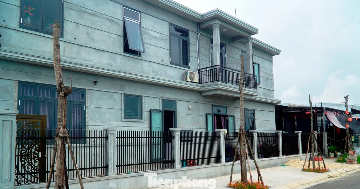 Bỏ mặc cây xanh thành "củi khô" hàng loạt giữa khu định cư mới