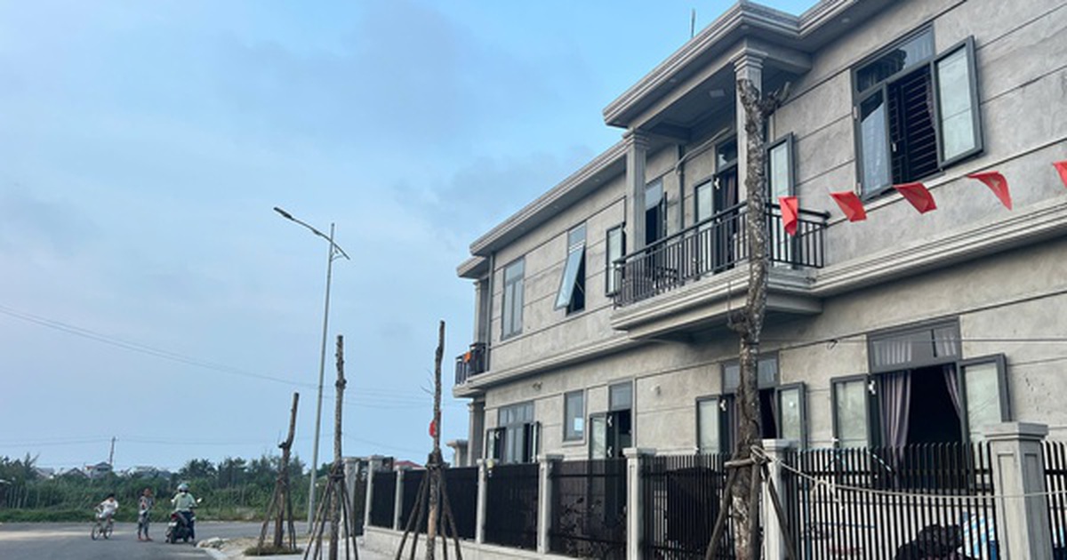 Cây xanh chết hàng loạt tại khu đô thị mới ở TP Huế: Chủ đầu ra "biện pháp mạnh"
