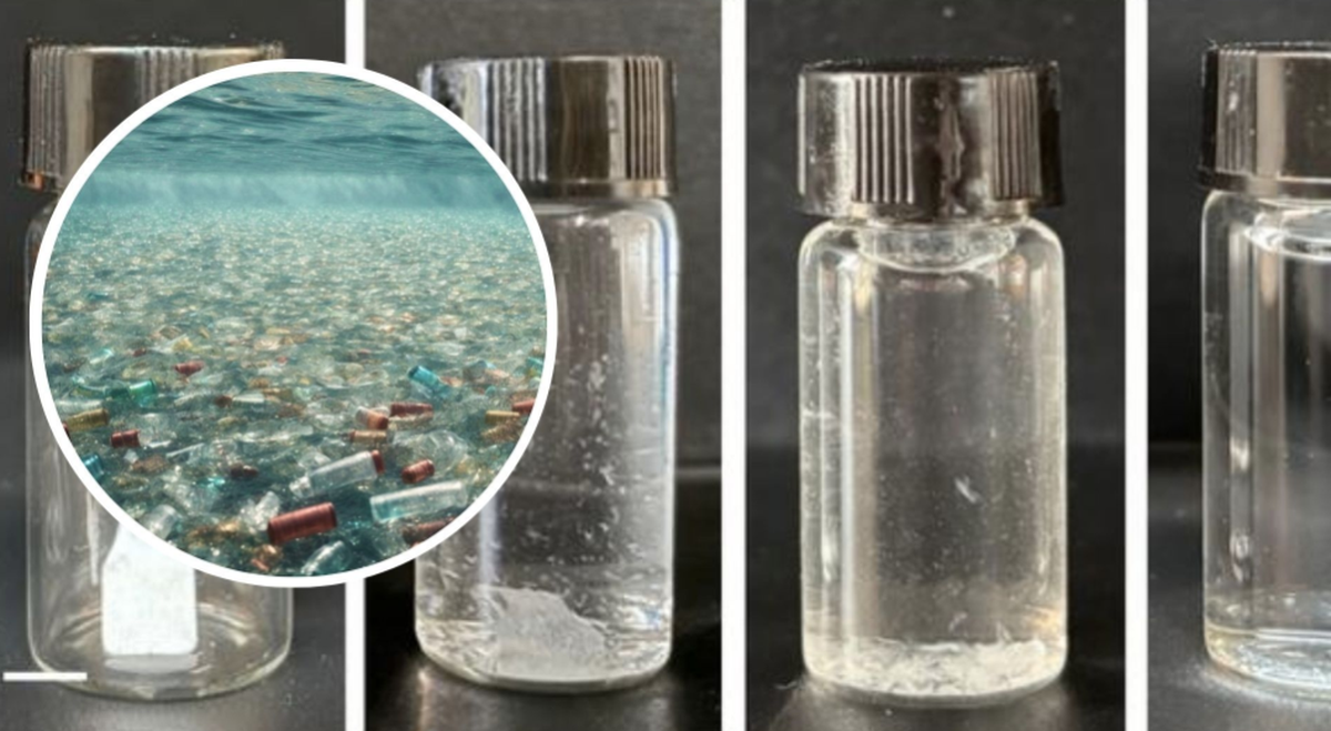 Phát minh làm rung chuyển ngành vật liệu: ‘Nhựa sống’ tự phân hủy theo lệnh sau 6 ngày, bước ngoặt cứu vãn ô nhiễm nhựa khắp hành tinh