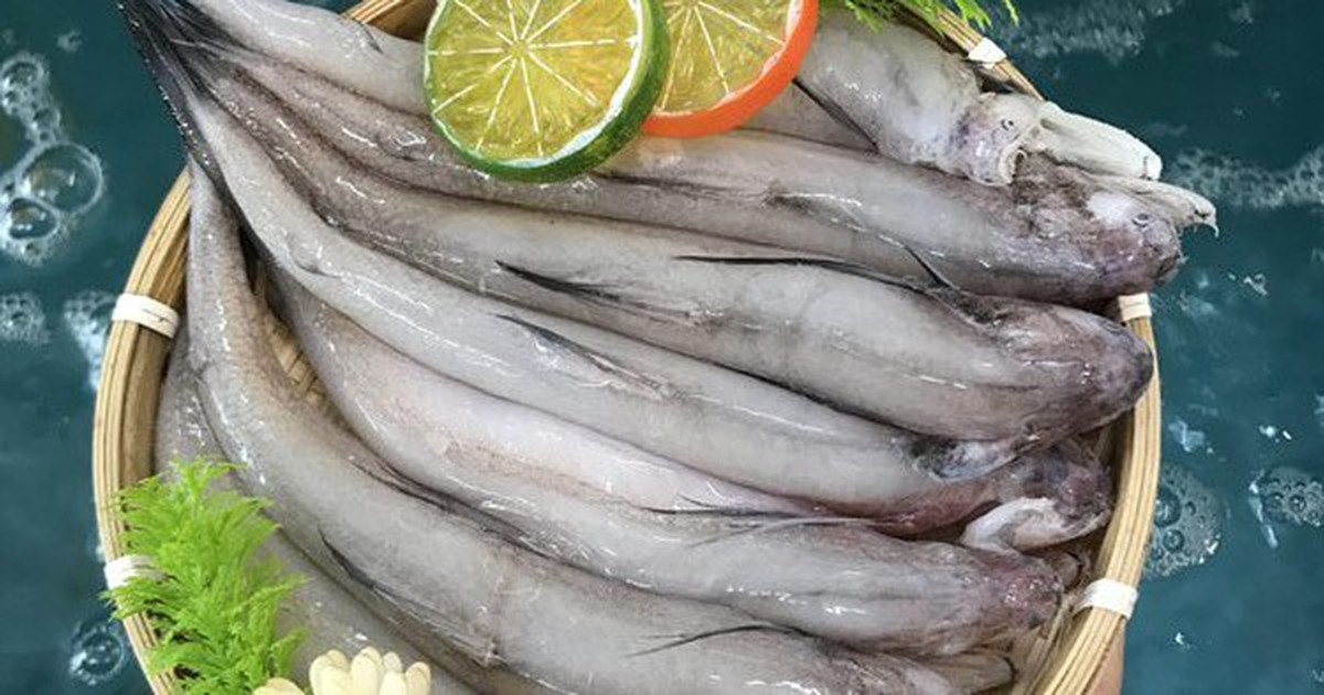 Đặc sản biển nổi tiếng của biển, có giá trị dinh dưỡng cao, mang lại nhiều lợi cho sức khỏe