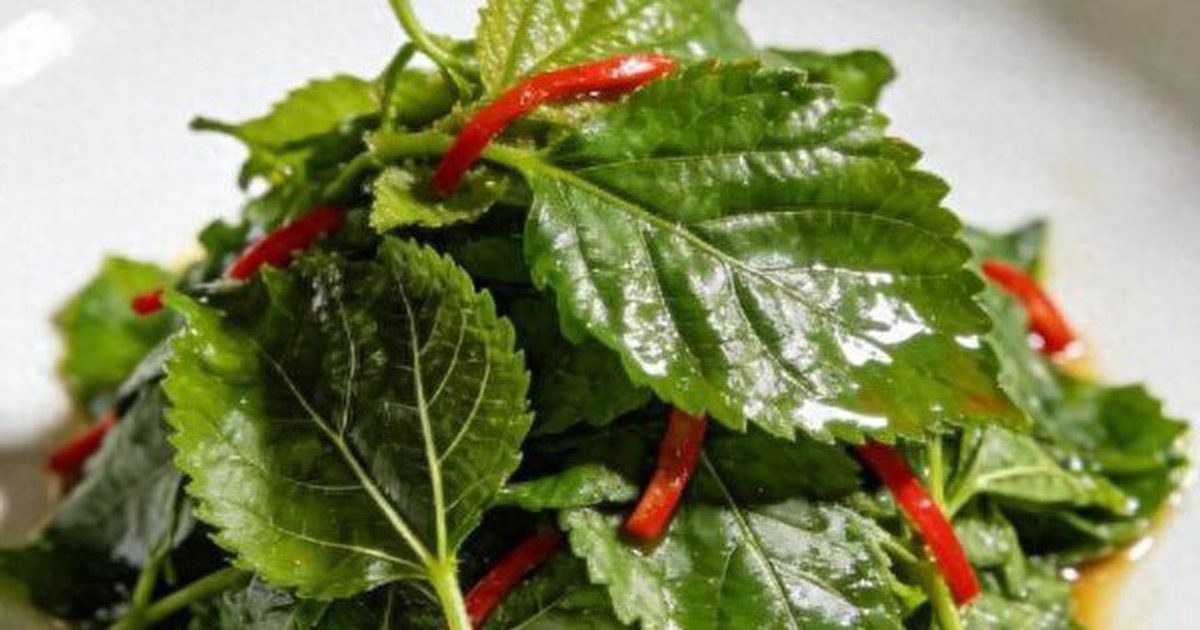 Loại lá bệnh tiểu đường rất sợ: Bổ như sâm, dưỡng sáng mắt, khỏe gan, tốt sức khỏe đủ đường
