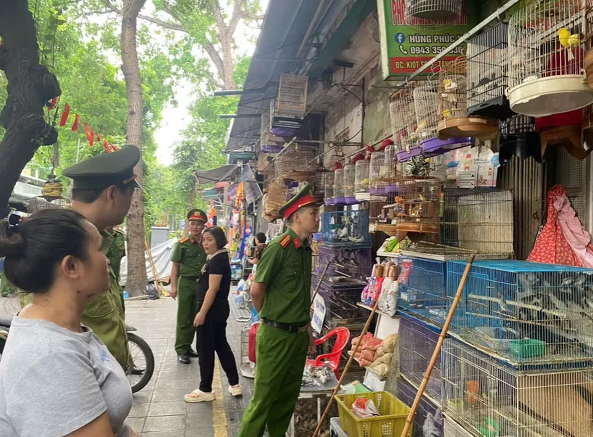Hà Nội: Công an kiểm tra 3 hộ kinh doanh, thu giữ rất nhiều cá thể chim không rõ nguồn gốc