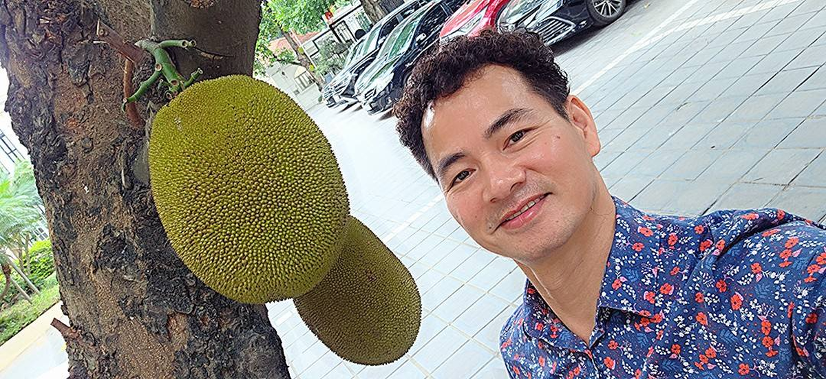 Cây mít nổi tiếng nhất Việt Nam khiến Cục trưởng Xuân Bắc phải đi làm cả cuối tuần để... canh chừng!