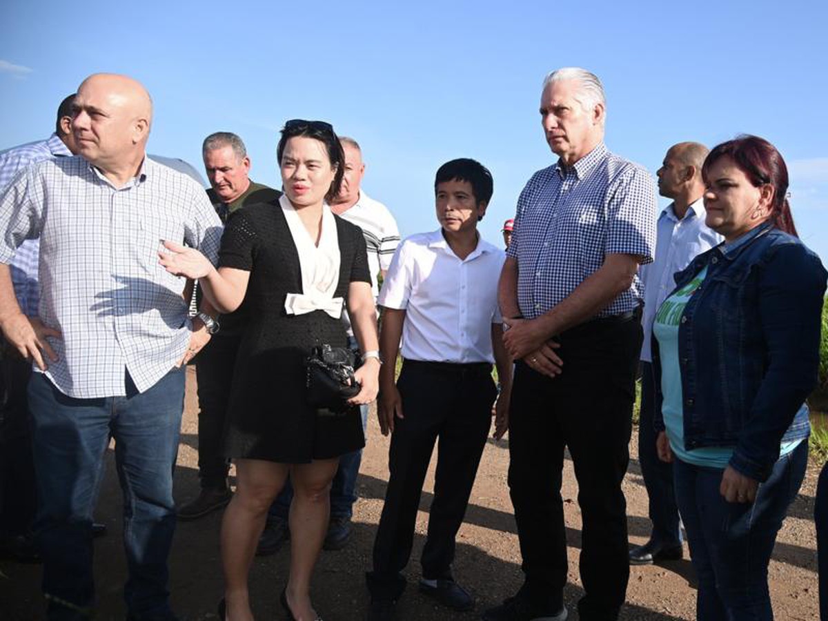 Việt Nam giúp tạo điều chưa từng thấy trên đồng ruộng Cuba, Chủ tịch Díaz-Canel nói: "Đây là thịnh vượng"