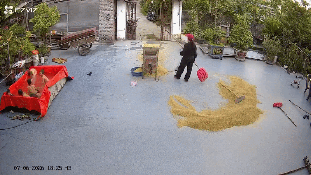 Cảnh tượng bất ngờ trong sân nhà của một gia đình ở Hà Nội có 5 trẻ đang nghỉ hè