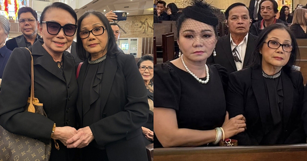 "Nữ hoàng băng nhạc" Tài Linh xuất hiện tuổi 70, ai cũng ngỡ ngàng