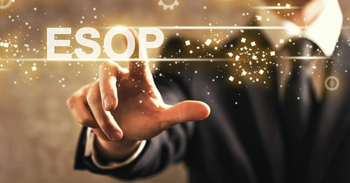 REE muốn phát hành ESOP