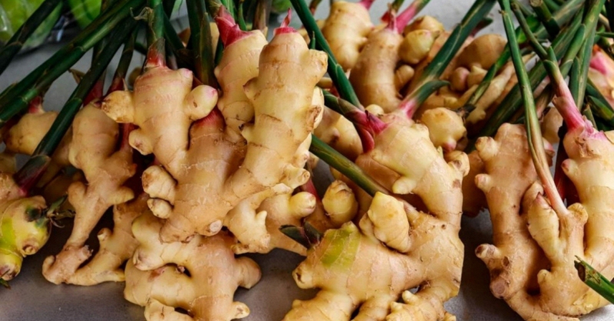 7 lợi ích của cây gừng