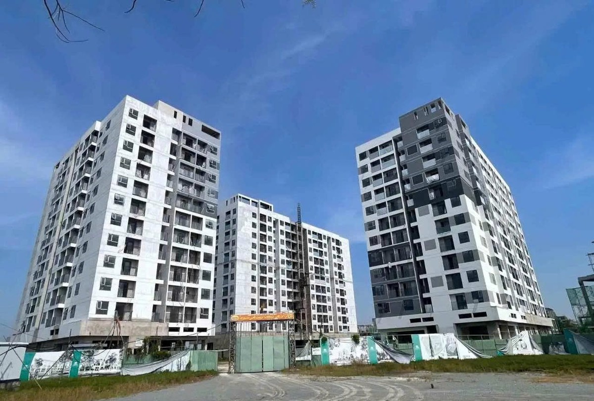 Đề xuất xây căn hộ nhỏ 15 m2 phục vụ nhu cầu của người độc thân hoặc hộ gia đình ít người