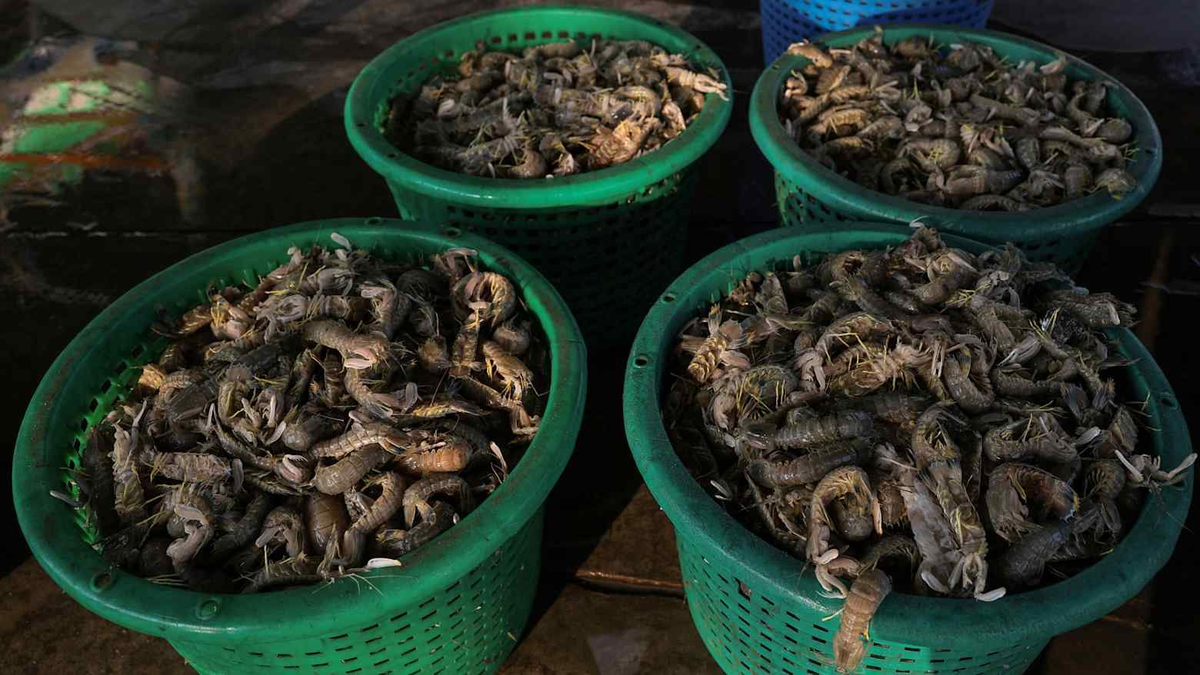Thái Lan hứng ‘đòn giáng’ từ nước láng giềng