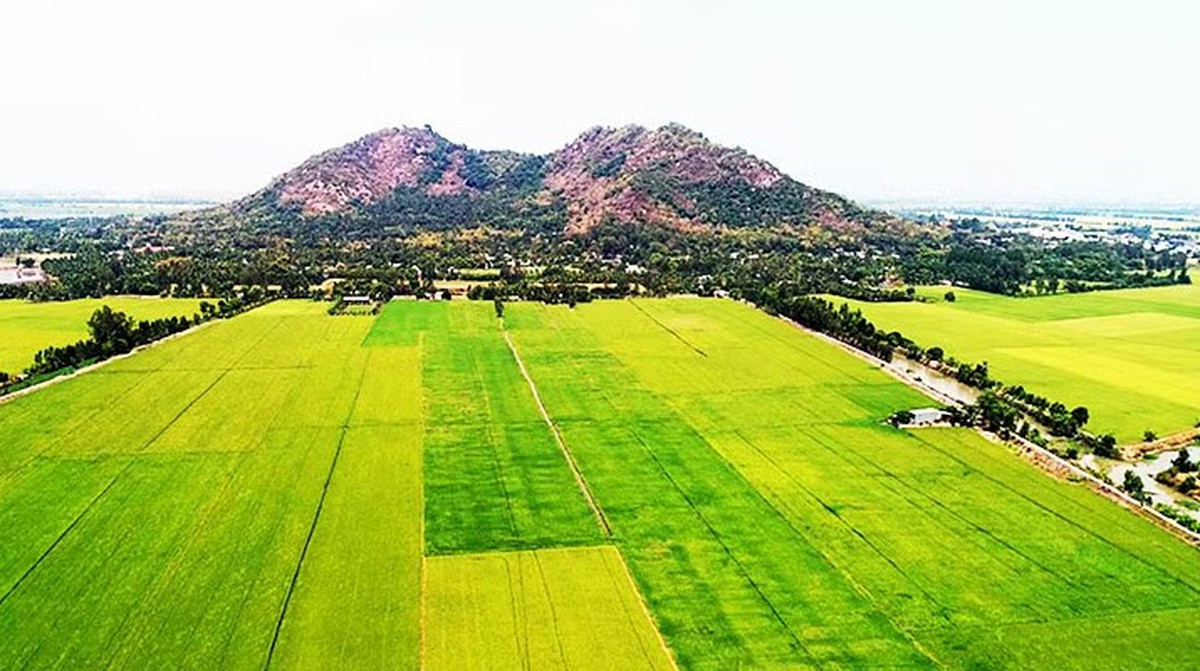Ngôi làng ở VN mưa xuống có lúc nhặt được vàng: Khai quật hơn 100 cổ vật, 19 món thành bảo vật quốc gia