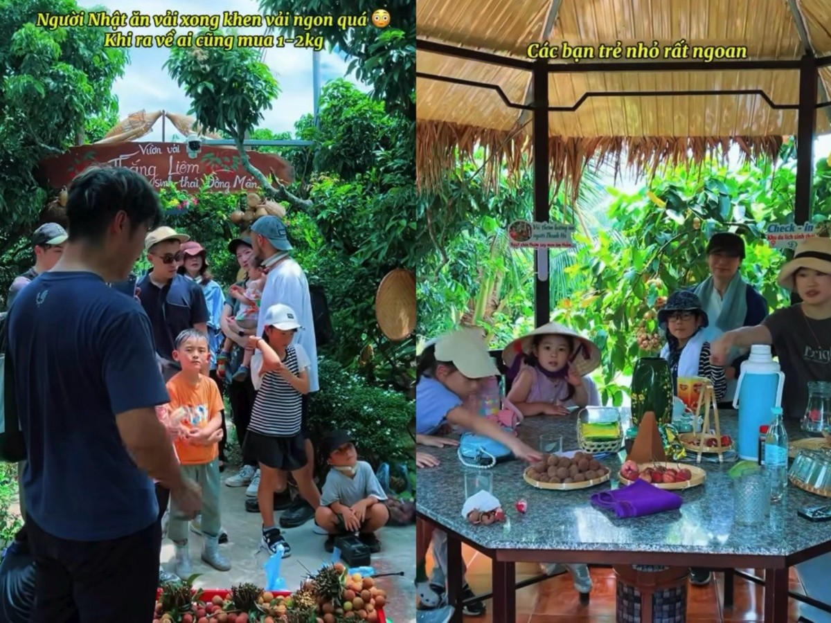 Sang Việt Nam ăn thỏa thích loại quả giá cả triệu đồng, khách Nhật còn lúi húi nhặt sạch vỏ trước khi rời đi