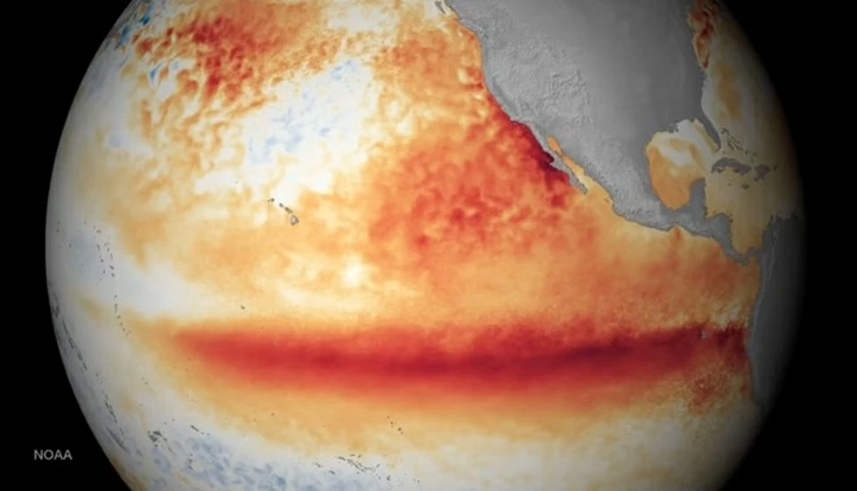 El Niño chính thức hình thành, có thể đẩy thời tiết cực đoan lên mức lịch sử toàn cầu