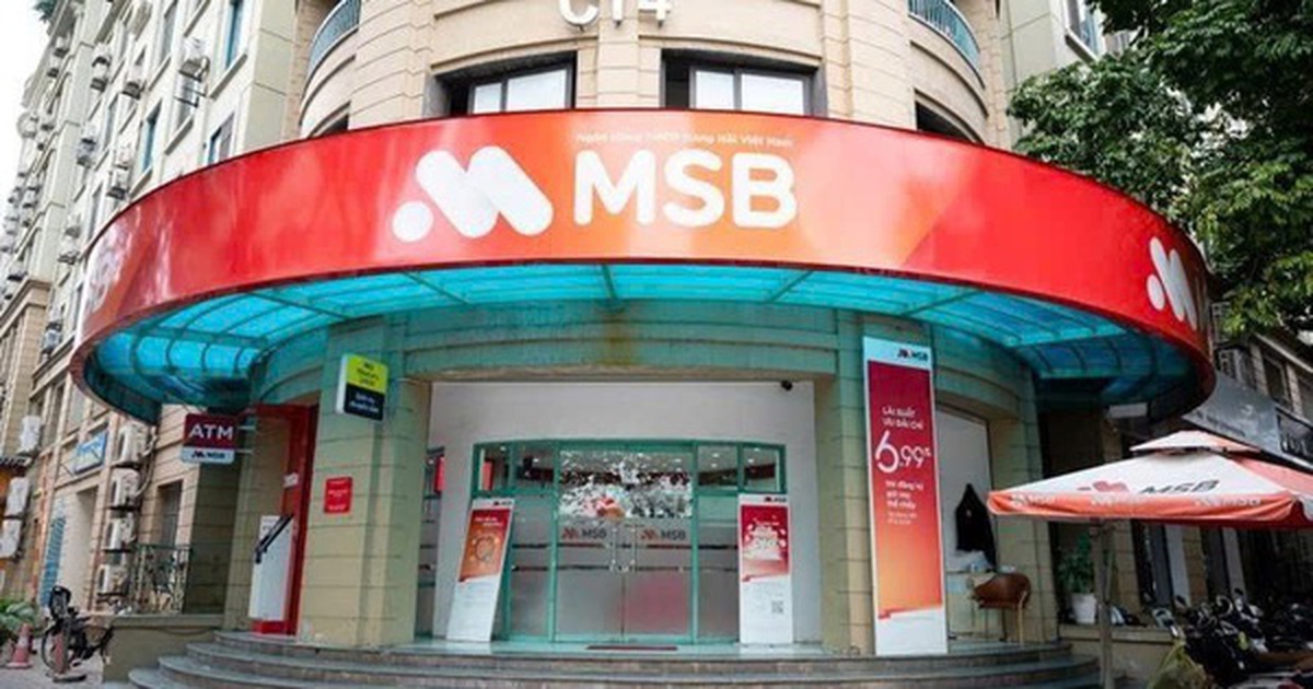 ROX Living mua vào hơn 18% lượng cổ phiếu MSB đã đăng ký