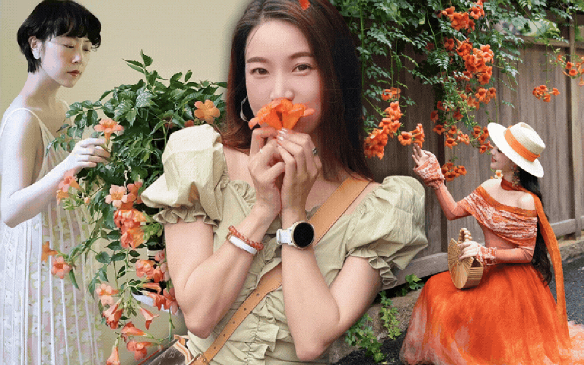 Lời khuyên cho những người thích trồng hoa lăng tiêu
