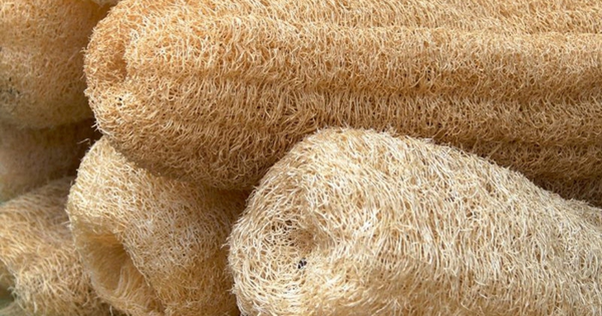 Bác sĩ Mỹ cảnh báo khẩn những người đang dùng bông tắm xơ mướp