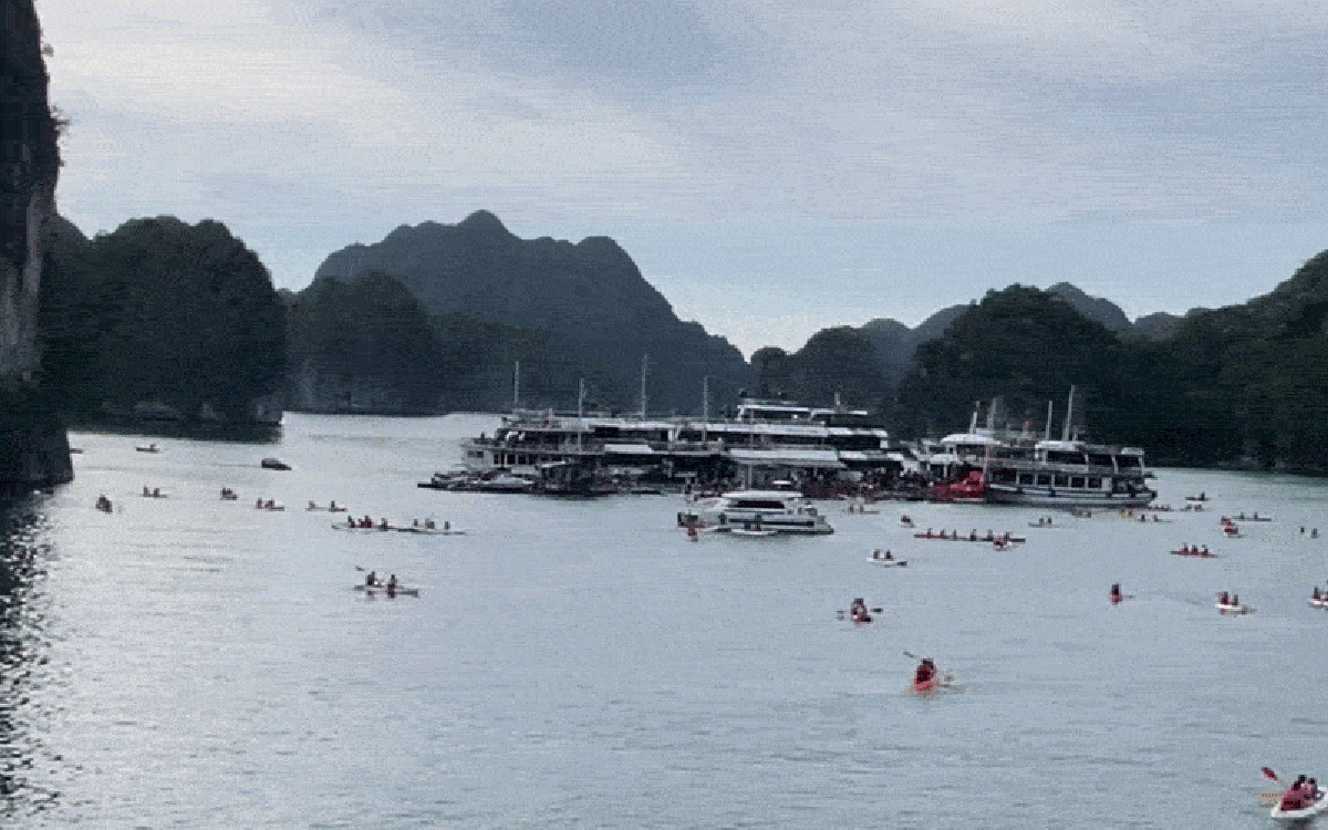 Cảnh tượng ở vịnh Lan Hạ, Cát Bà khiến nhiều người bất ngờ, thốt lên: Không tin vào mắt mình