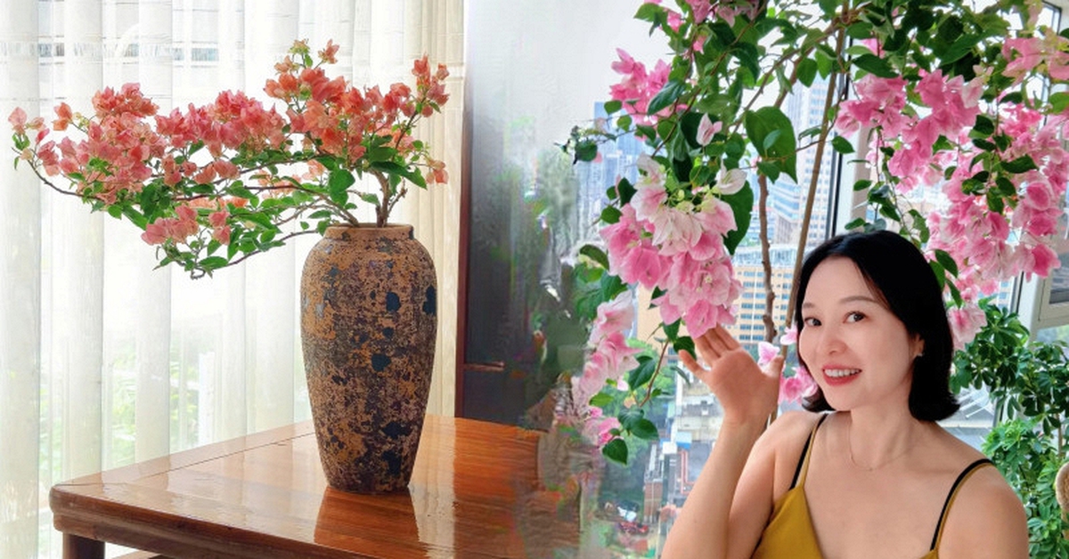 Lời khuyên cho người muốn trồng hoa giấy bonsai trong nhà