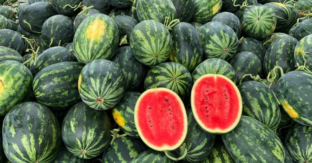 5 lời khuyên khi mua dưa hấu