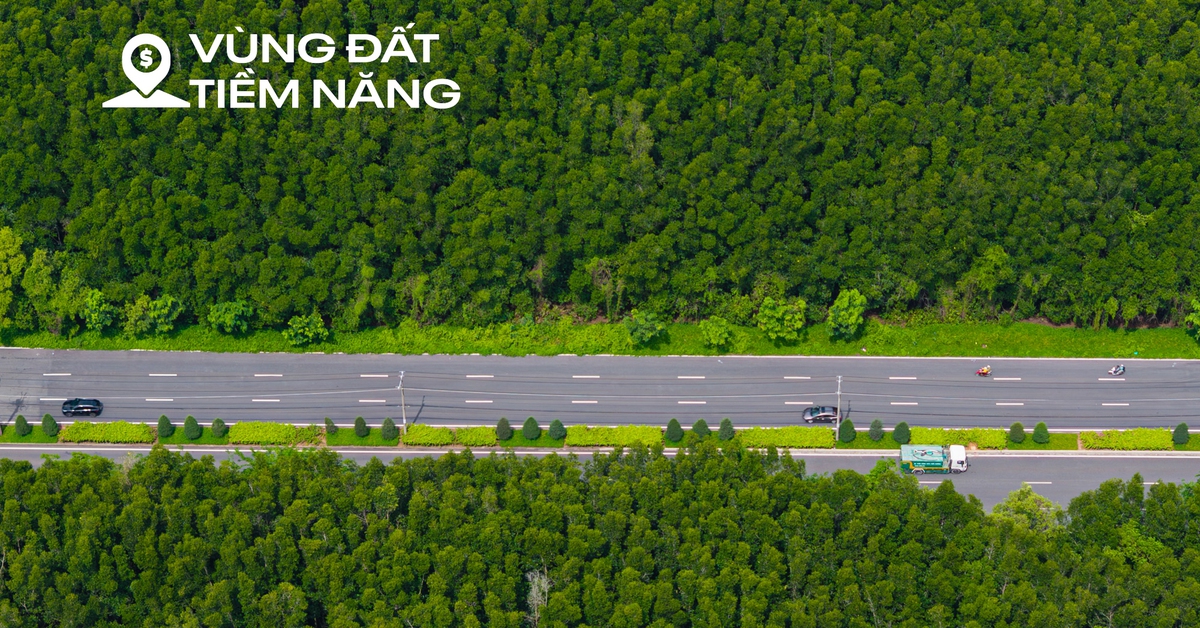 Toàn cảnh khu rừng phòng hộ rộng bằng 1/3 nội đô TP.HCM, ôm trọn siêu đô thị 10 tỷ USD của tỷ phú Phạm Nhật Vượng