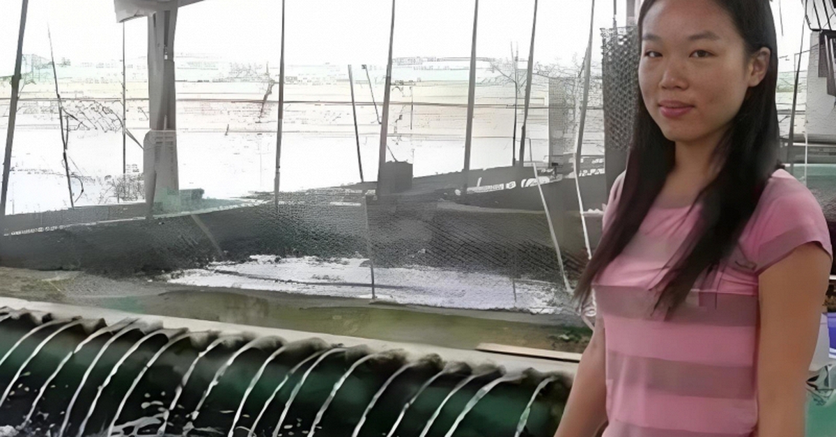 Phát hiện nữ sinh ĐH top đầu bỏ học để nuôi cá trả nợ 166,7 tỷ cho gia đình, sau này 1 con cá bán được hơn 33 tỷ