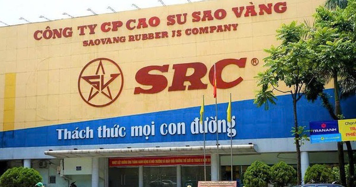 Cao su Sao Vàng tăng vốn lên gần 365 tỷ đồng sau đợt thưởng cổ phiếu