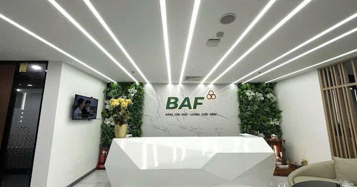 Baf Việt Nam ‘rót’ 810 tỷ đồng thành lập 4 công ty con tại Hà Nội