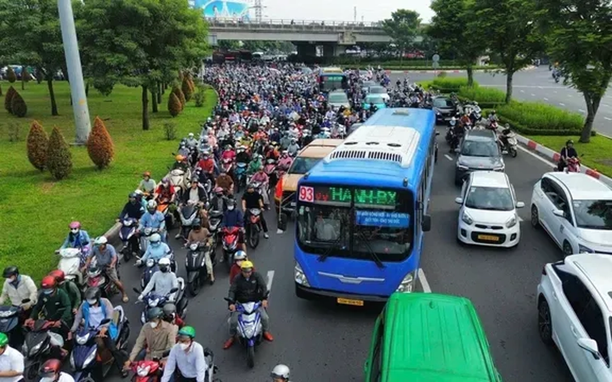 TP Hồ Chí Minh dự kiến hỗ trợ 100% giá vé xe buýt từ ngày 1/7