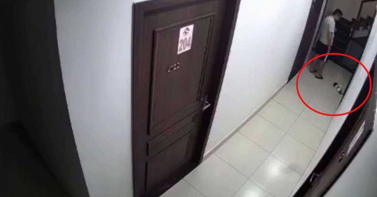 Xôn xao nam thanh niên đá chết chú chó rồi bỏ vào thùng rác chung cư ở Hải Phòng: Người đăng clip lên tiếng